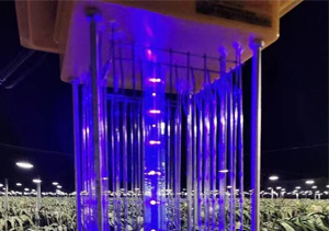 大棚內用什么殺蟲燈好，需要注意什么